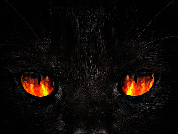 shaggy monster red eyes closeup