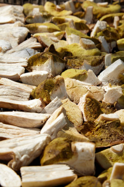 Cutted wild boletus mushrooms lying on the tray, ready to be  cooked