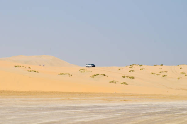 istock Desert Landscape with sand dunes 645768012
