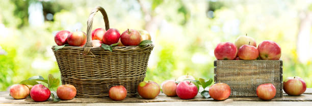 istock red apples in a basket on wooden table 645770712