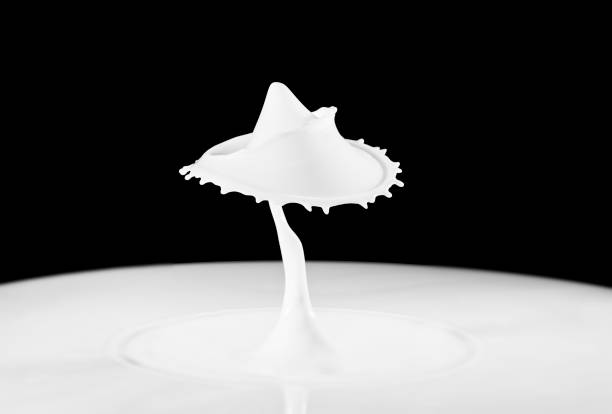 istock Milk droplets colliding together to make droplet art. 645770798