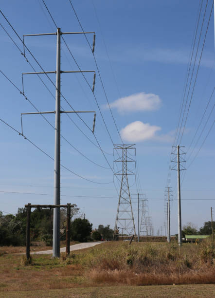 istock Electrical Towers in Florida 645771044