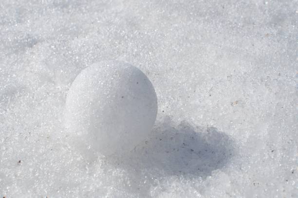 istock Snow Ball in the White Snow 645776728