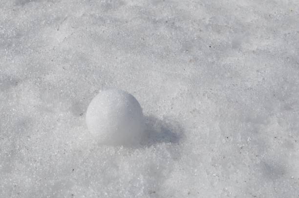 istock Snow Ball in the White Snow 645776740