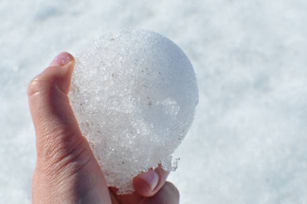 istock Holding a Perfect Snow Ball 645776756
