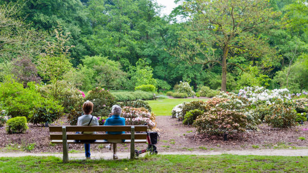 オランダのワーヘニンゲンの樹木園ベルモンテ - formal garden garden path bench flower ストックフォトと画像