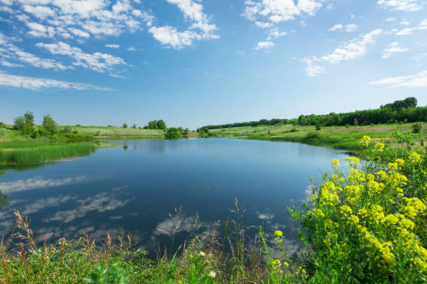 istock Landscape with pond and hills 645781646
