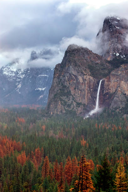 istock Yosemite National Park Bridalveil Fall, California 645782276