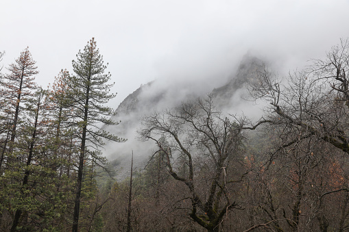 Yosemite National Park, Sunset, fog, Famous Place, International Landmark