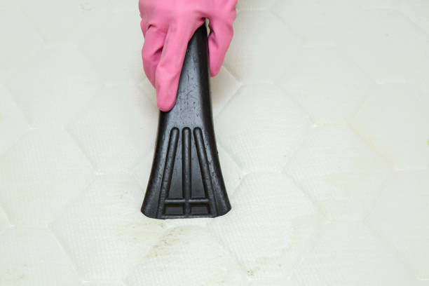 istock Professionally nozzle making free mattress from dust and dirty. 645791652