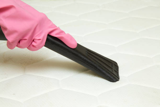 istock Professionally nozzle making free mattress from dust and dirty. 645791686