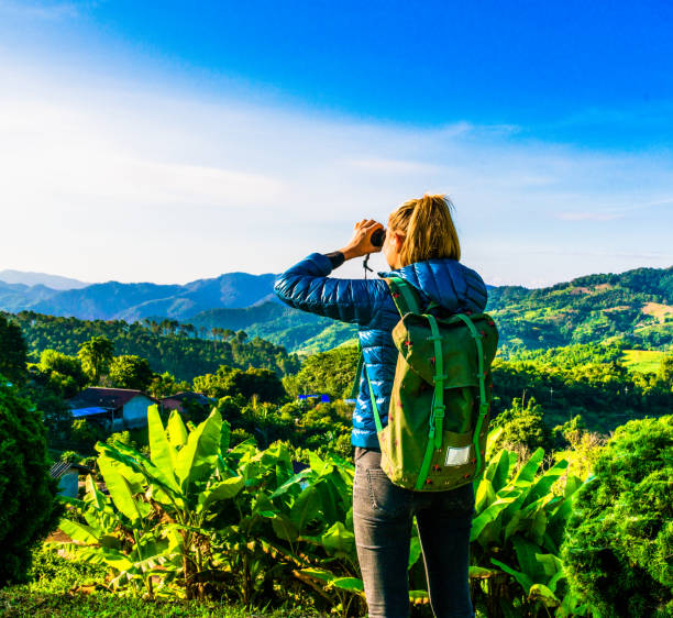 istock Tourist on the tea plantations 645791826