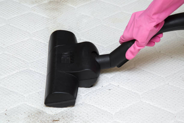 istock Professionally turbo brush making free mattress from dust and dirty. 645794246