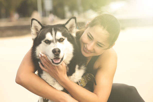 istock Cheerful woman embracing a dog 645794284
