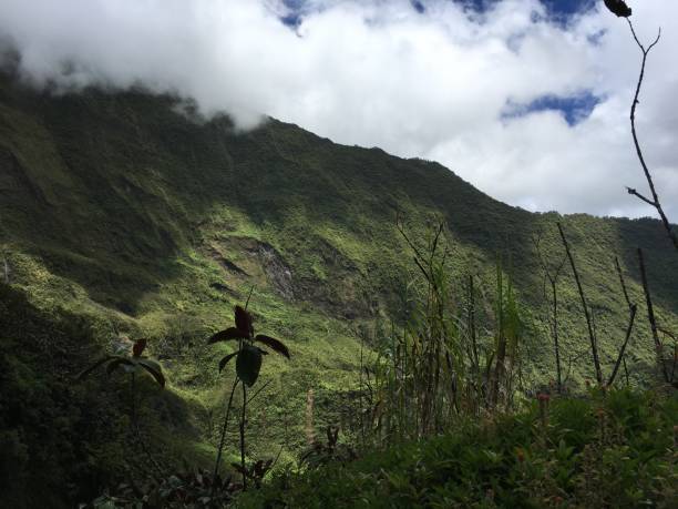 istock Mountains on Tahiti 645795316