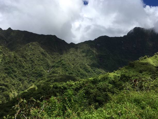 istock Mountains on Tahiti 645795324