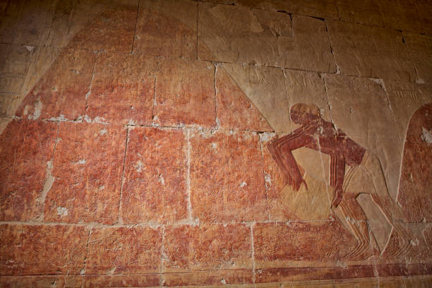 austausch von nahrung, detail der szene, die expedition in das land punt, bemalte reliefs, kolonnade von punt, leichenhalle tempel der hatschepsut, deir el-bahari, thebanischen nekropole, ägyptischen zivilisation, neues reich, dynastie xviii - egyptian dynasty stock-fotos und bilder