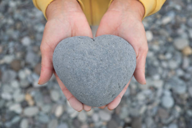 istock hands holding heart / heart shaped stone 645802016