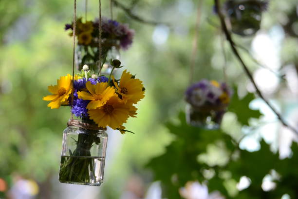 istock Flowers in vases. 645808648