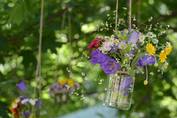 istock Flowers in vases. 645808656
