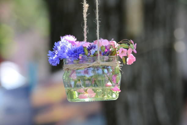 istock Flowers in vases. 645808668