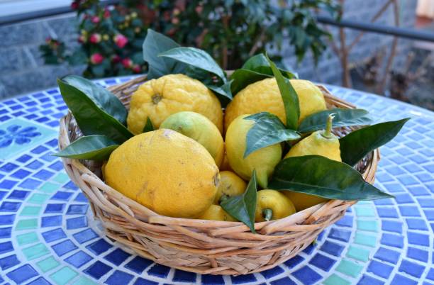 istock basket of lemons and limes 645811496