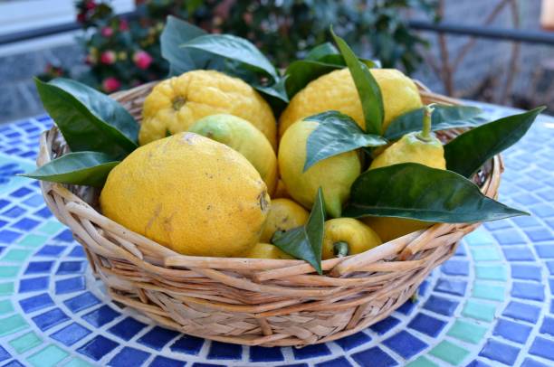 istock basket of lemons and limes 645811498