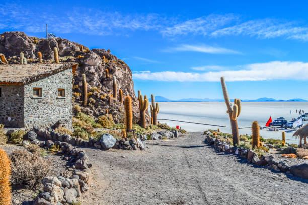 Isla del Pescado, Isla de los Pescadores or Cujiri is a hilly and rocky outcrop of land in the middle of Salar de Uyuni – a salt flat situated in the Daniel Campos Province, Tahua Municipality, Caquena Canton, Bolivia.