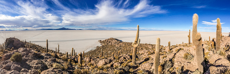 Isla del Pescado, Isla de los Pescadores or Cujiri is a hilly and rocky outcrop of land in the middle of Salar de Uyuni – a salt flat situated in the Daniel Campos Province, Tahua Municipality, Caquena Canton, Bolivia.