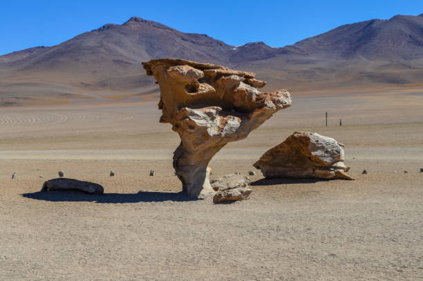 piment arbol de piedra ou stone tree sur l'altiplano, bolivie - bizarre landscape sand blowing photos et images de collection