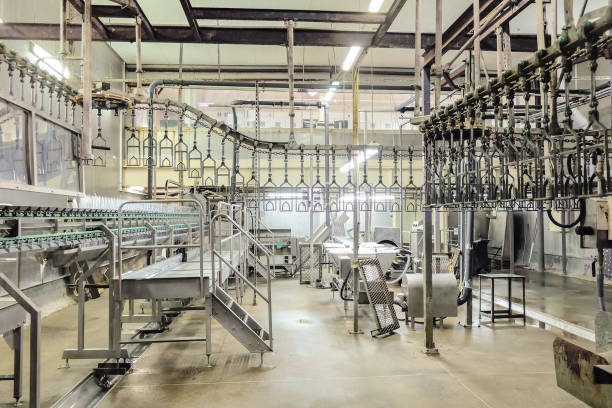 pollame da macellaio vuoto con trasportatore aereo. linea di impianti di lavorazione del pollame. produzione di carne di pollo. - food processing plant manufacturing factory food foto e immagini stock