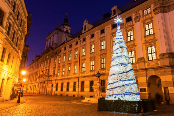 istock Christmas tree by University of Wrocaw at night 645821122