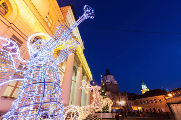 istock Lublin City Hall and Krakowska Gate 645821130