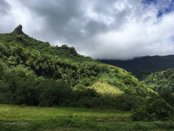 istock Nature on Tahiti 645823720