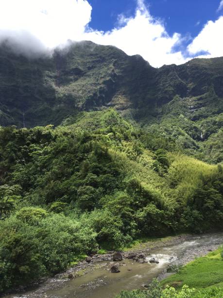 istock Nature on Tahiti 645825060