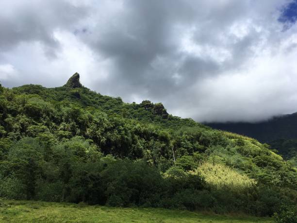 istock Nature on Tahiti 645825064