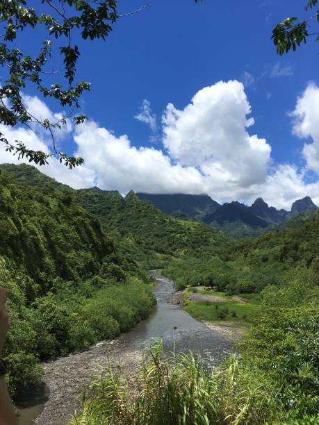 istock Nature on Tahiti 645825068