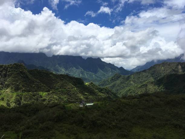 istock Nature on Tahiti 645825478
