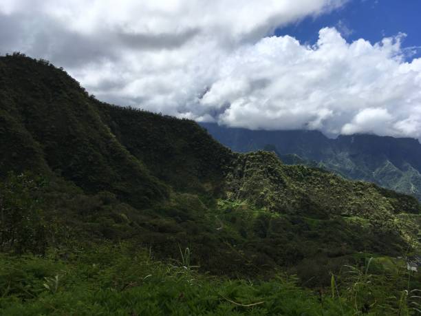 istock Nature on Tahiti 645825486