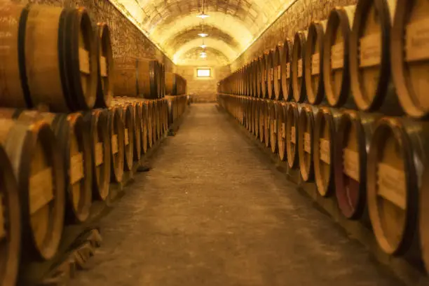 Barrel rows in a winery