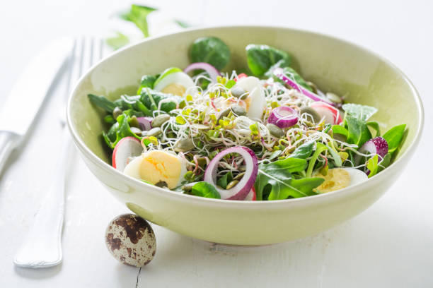 Healthy green salad with onion, quail egg and sprouts