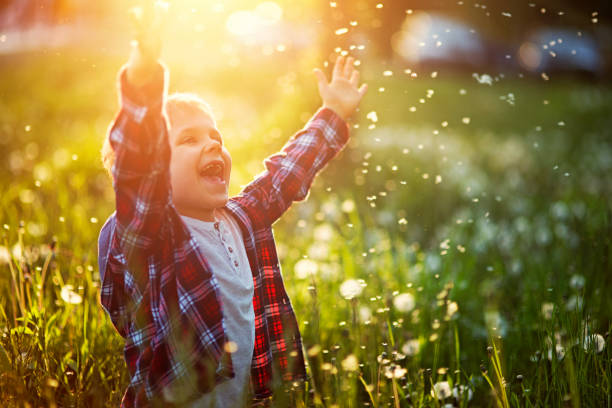 Portrait of a little boy laughing in dandelion field. The boy is very happy showing off his missing tooth. Sunny spring evening.\n