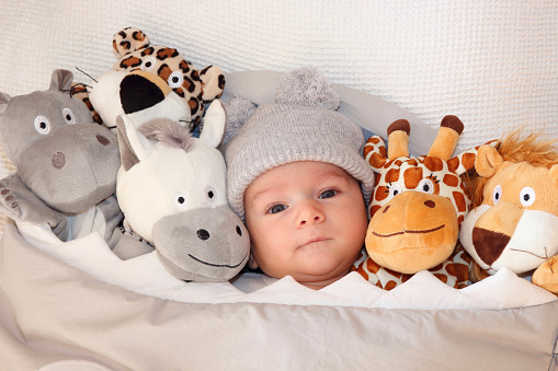 Sweet little baby lying on the bed surrounded of cute safari stuffed animals.