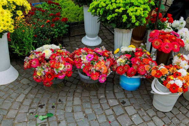 Flower shop outdoor stand with colorful flower pots Flower shop outdoor stand with colorful flower pots Street flower shop the plantation course at kapalua stock pictures, royalty-free photos & images