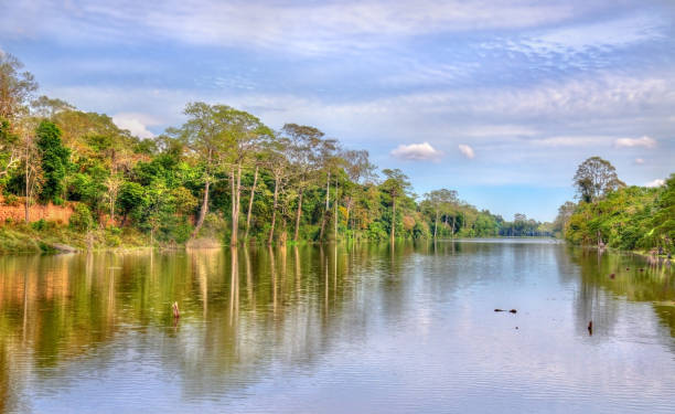 istock Moat surrounding Angkor Thom in Siem Reap, Cambodia 645857692