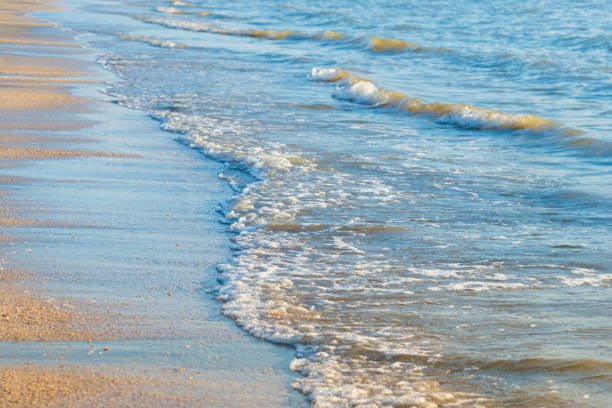 istock Beautiful sunset at tropical sea 645866910