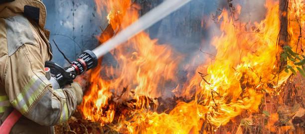 istock firefighters spray water to wildfire 645877940