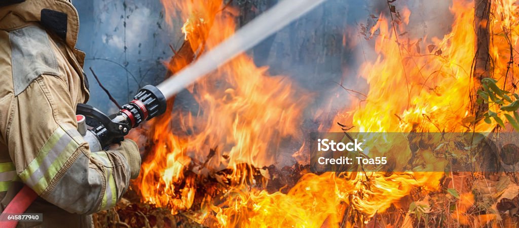 firefighters spray water to wildfire Firefighter Stock Photo