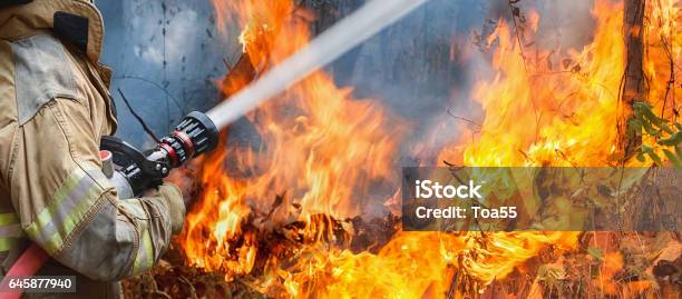 Firefighters Spray Water To Wildfire Stock Photo - Download Image Now - Firefighter, Forest Fire, Forest