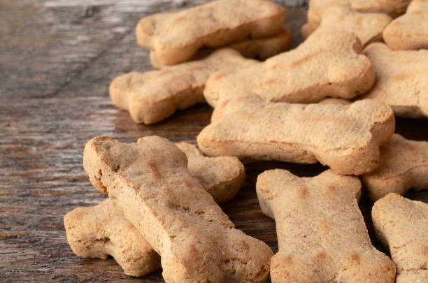 istock Dog Treat Background 645891242